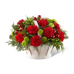 The Winter Wishes Basket from Visser's Florist and Greenhouses in Anaheim, CA
